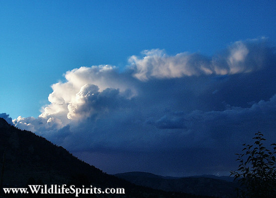 Click Picture to send as an  E-PostCard 52k 550x394